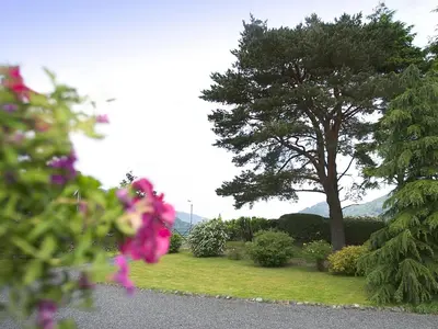 a tree on the side of a road with flowers at Chapelfield Cottage in Rosthwaite
