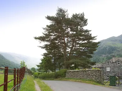 a road next to a stone wall and a tree at Chapelfield Cottage in Rosthwaite