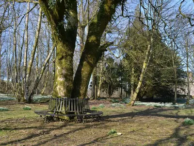 a bench sitting under a tree in a park at The Old Stables in Uldale