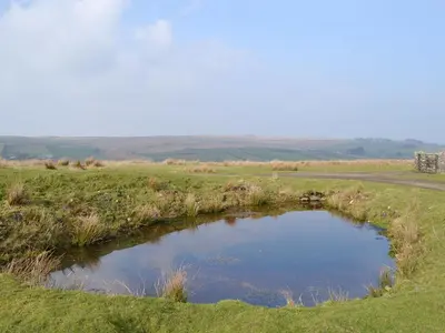 a small pond in the middle of a field at Greenrigg Cottage in Caldbeck