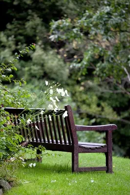 a wooden park bench sitting in the grass at YHA Grasmere Butharlyp Howe in Grasmere