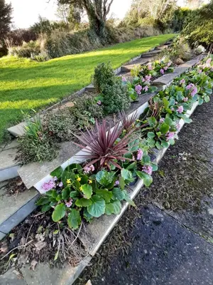 a row of flowers and plants in a garden at At Cedar Lodge in Ramsey