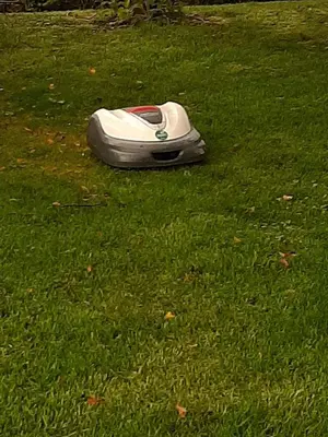 a frisbee laying on the grass in the yard at At Cedar Lodge in Ramsey