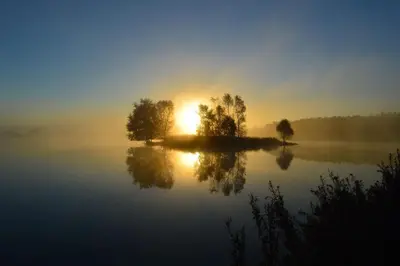 a misty lake with trees and the sun in the background at Red Rose Cottage in Cockermouth