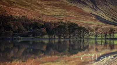 a reflection of trees in a lake in front of a mountain at Bakers Cottage in Cockermouth