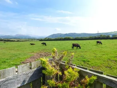 a group of horses grazing in a field at Gable View in Drigg
