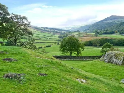 a green field with trees and a stone wall at High Kiln Bank Cottage in Ulpha