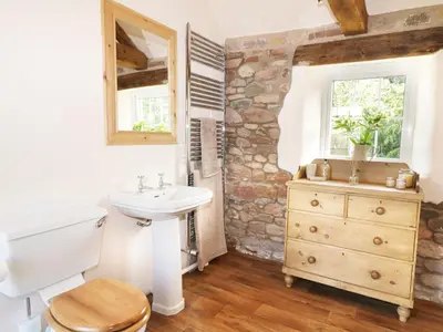 a bathroom with a white toilet and a sink at Faraway Cottage in Kirklinton