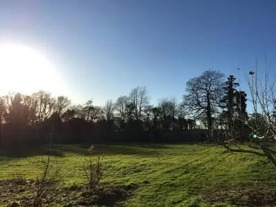 a grassy field with the sun in the background at Garden Cottage in Carsluith