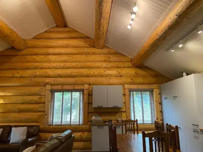 a kitchen and dining room in a log house at Ewes Water Log Cabins in Langholm