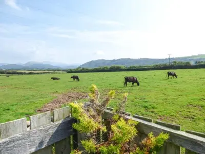 a group of horses grazing in a field at Surprise View in Holmrook