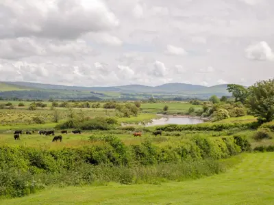 a herd of cows grazing in a field next to a river at The Byre in Newton Stewart