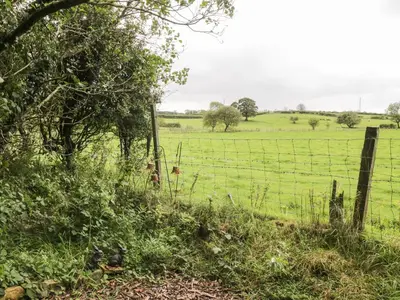 a field of green grass with a fence at The Cottage at Graysondale Farm in Cockermouth