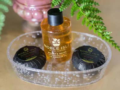 a bottle of soap and two cookies in a tray at Reflection in Canonbie