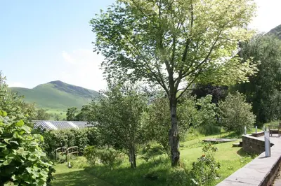 a tree in a garden with mountains in the background at The Byre in Keswick