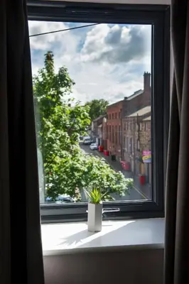 a window with a potted plant on a window sill at The Old Wool House Apartments in Carlisle