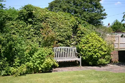 a white bench sitting in front of some bushes at Garden Cottage in Prestwick