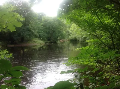a view of a river through the trees at lyne view, log cabin in Carlisle