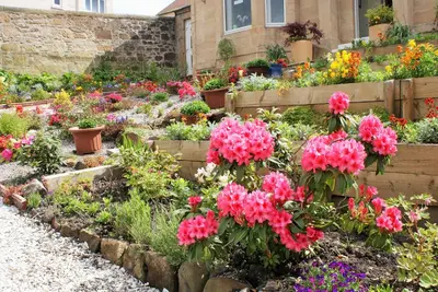 a garden of flowers in front of a house at Dean Park Guest House in Kilmarnock