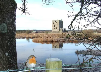 a bird sitting on a fence in front of a castle at Douglas House in Castle Douglas