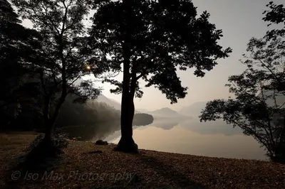a view of a lake with two trees in the foreground at Bridge Hotel in Buttermere