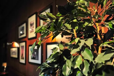 a green plant in front of a wall with pictures at Savoy Park Hotel in Ayr