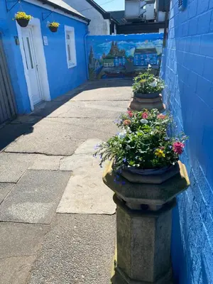 two stone planters with flowers on a blue wall at Marina Studio in Irvine