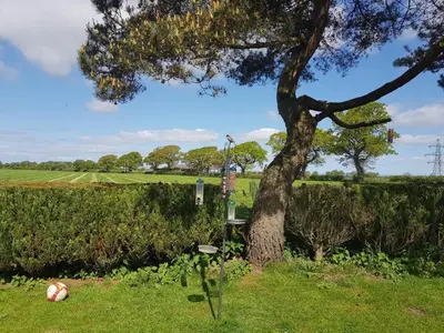 a tree with a ball in the grass next to a fence at Newby Cross in Carlisle