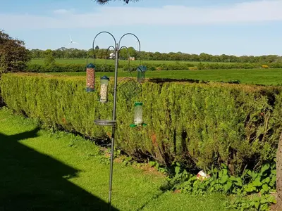 a garden with several bird feeders on a pole at Newby Cross in Carlisle