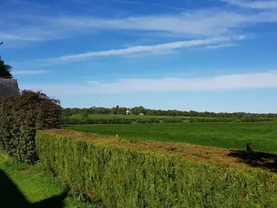 a hedge in a field with a blue sky at Newby Cross in Carlisle