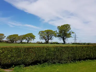 a hedge in a field with trees in the background at Newby Cross in Carlisle