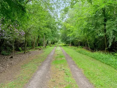 a dirt road in the middle of a forest at The Old Stables in Sorn