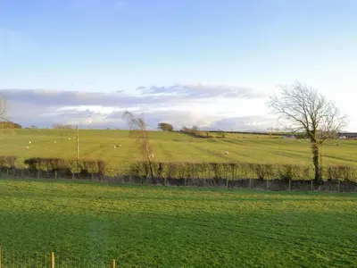 a field of green grass with sheep in the distance at Little Meadow in Dearham