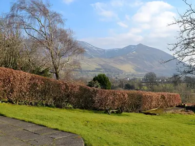 a hedge in a field with mountains in the background at The Tottsie in Bassenthwaite