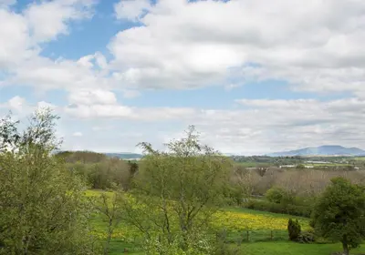 a field with trees and yellow flowers in a field at The Melbreak Hotel in Great Clifton