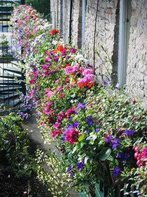 a bunch of colorful flowers on a window sill at The Melbreak Hotel in Great Clifton