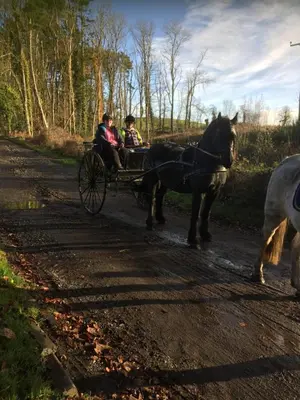 two people riding in a horse drawn carriage on a dirt road at Retreat at The Knowe Auchincruive Estate in Ayr