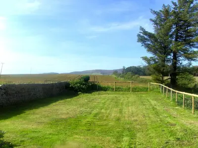a field with a fence and a tree at Powillimount Cottage in Kirkbean
