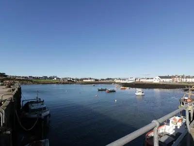 a group of boats are docked in a harbor at The Clamshell in Isle of Whithorn