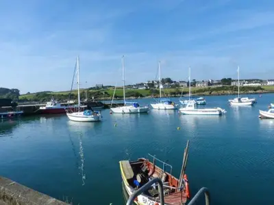 a bunch of boats are docked in a harbor at The Clamshell in Isle of Whithorn