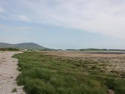a field with grass and a dirt road at Cheri in Mainsriddle