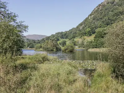 a river with a bunch of flowers in the water at Tanner Croft Cottage in Ambleside