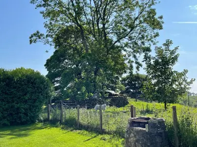 a fence and a tree in a field at Barcloy Honey House in Kirkcudbright
