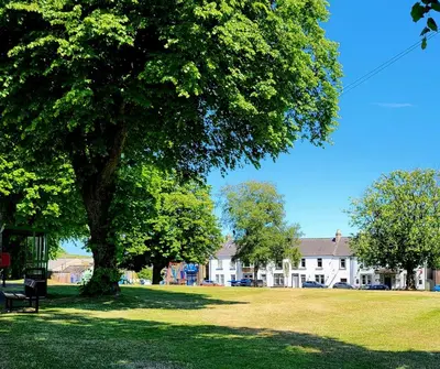 a large tree in the middle of a park at The Market Inn Hotel in Castle Douglas