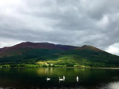 a group of swans on a lake with mountains in the background at Embleton Spa Hotel & Apartments in Embleton