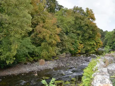 a river in the middle of a forest at Bobbin Cottage in Keswick