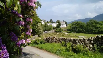 a house in a field with purple flowers at Kirkstile Inn in Loweswater