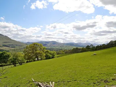 a green field with two animals grazing on a hill at Grajo Cottage - Uk1284 in Threlkeld