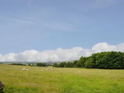 a herd of animals grazing in a grassy field at Kirroughtree Steading 1 - Uk5859 in Newton Stewart