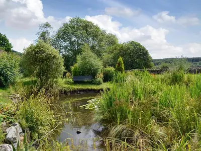 a park bench sitting next to a small pond at Wee Cordorcan - Uk5890 in Bargrennan